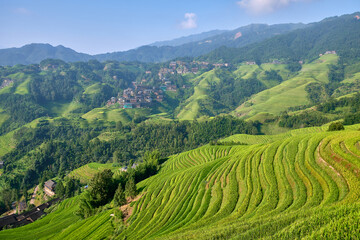 rice terrace in longsheng, china © marco