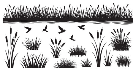 Reed grass vector silhouettes, wetland plants collection, marsh nature elements with birds, botanical landscape illustration, flat design, ecological and natural scenery © 弗莱彻