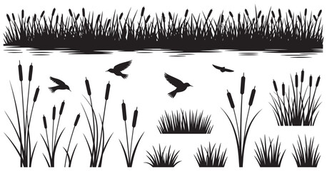 Reed grass silhouette vector set, wetland plants collection, marsh nature elements, birds, botanical landscape, flat vector illustration, ecological, natural habitat design © 弗莱彻