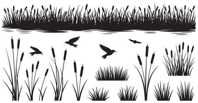 Reed grass silhouette vector set, wetland plants collection, marsh nature elements, birds, botanical landscape, flat vector illustration, ecological, natural habitat design
