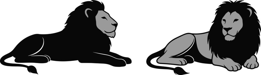 Two reclining lions facing each other, one black silhouette, one detailed illustration with mane and tail, suitable for design, symbolism, education © MstSharifa