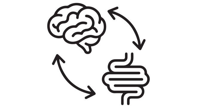 An illustration showing the connection between the brain and gut with arrows indicating their bidirectional communication.