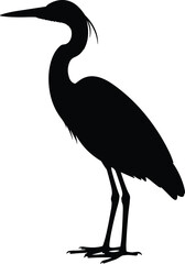 Obraz premium Black silhouette vector illustration of heron bird, long neck, pointed beak, tall legs, elegant posture, wildlife design, decorative artwork, modern composition