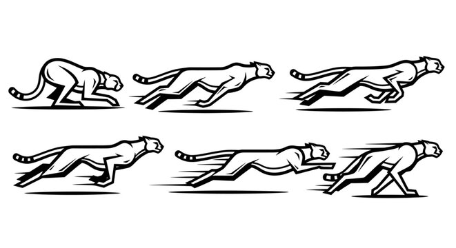 Black and white cheetah running sequence.
