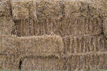 Stacked straw bales forming natural hay texture agricultural background © Olha
