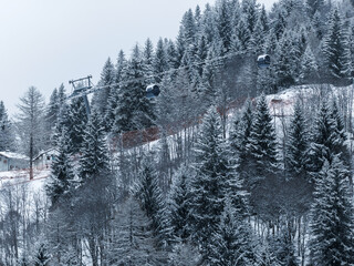 Aerial gondola cable cars glide above snowy fir trees at San Domenico in the Ossola Valley, Italian Alps, with lift towers, skiers' runs, and an alpine lodge near the slope © Aerial Film Studio