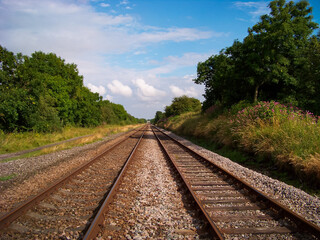 Fototapeta premium A symmetrical perspective view of double railway tracks stretching towards the horizon in the British countryside, surrounded by lush green trees and purple wildflowers under a clear blue sky.