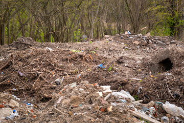 Fototapeta premium Illegal garbage dumping in forest. Waste materials and litter left behind damaging ecosystem and harming wildlife habitat.