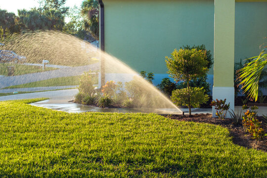 Lawn grass watering with automated sprinkler. Keeping green backyard during dry season
