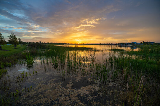 Sunset landscape in Wellen park in North Port, Florida. Beautiful lake nature in evening