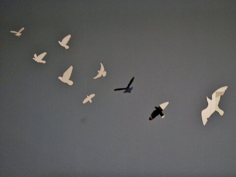 fliegende schwalben vor der grauen Wand