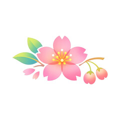 Fototapeta premium PNG Delicate cherry blossom illustration