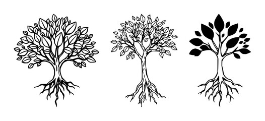 Obraz premium Green tree logo set with simple vector icon design featuring roots, leaves, foliage, tree symbol with monochrome and nature