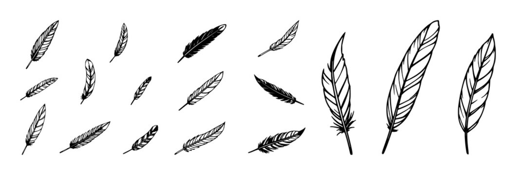 Feather icon set with simple black vector minimalist silhouettes featuring feather, icon, vector with design and graphics