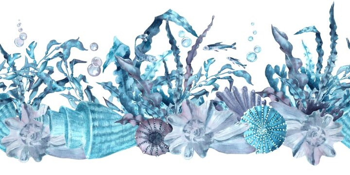 A seamless horizontal border of blue, and gray seashells and sea urchins with seaweed, fish, and urchins, hand-drawn in watercolor on an isolated background. Simple clip art of underwater objects