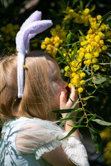 Naklejka premium A young girl wearing bunny ears touches yellow mimosa flowers while holding a plush bunny during Easter