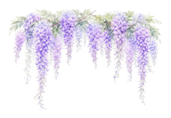 Obraz premium PNG Delicate watercolor wisteria illustration.