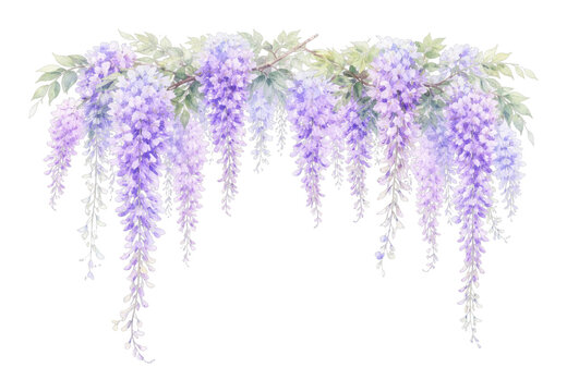 PNG Delicate watercolor wisteria illustration.