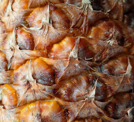 Fototapeta premium Pineapple skin texture close-up