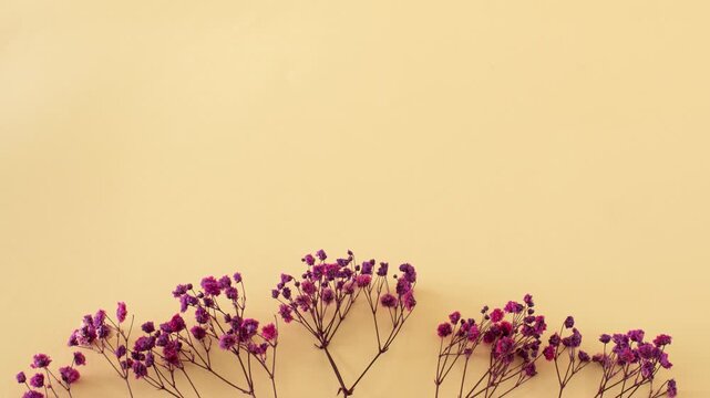 Purple dried flowers bouquet on a pastel orange background. Minimal withered flowers composition. 
