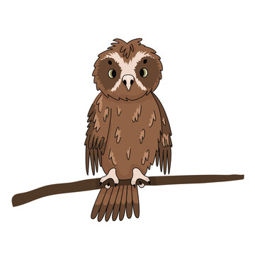 Cute vector brown owl mopoke cartoon perched on branch isolated on white background. Hand drawn illustration