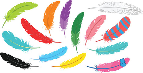 Colorful feather collection vector illustration with decorative bird feathers isolated on background bright boho tribal plumage elements for design decoration © Hello there