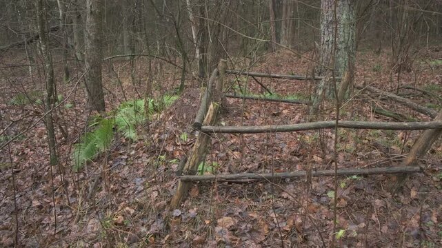 Wooden fence in forest wilderness with bare trees and fallen leaves