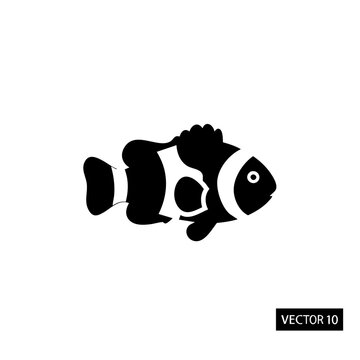 Black and white clownfish illustration with distinctive white face markings