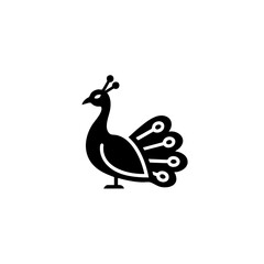 Fototapeta premium Graceful peacock standing with its tail feathers partially fanned out in profile view