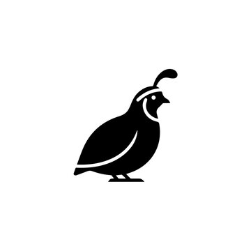 A black silhouette of a quail standing on a plain background