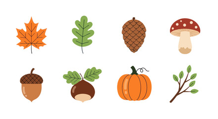 Autumnal foliage and forest elements © MBG