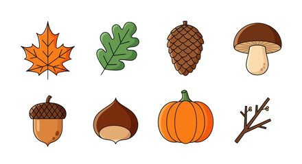 Autumnal nature elements collection © MBG