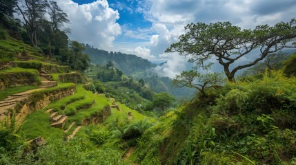 Naklejka premium Lush green mountainous landscape with tiered stone steps and trees