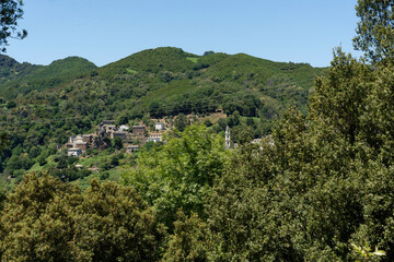 Fototapeta premium Frankreich - Korsika - Sant'Andréa-di-Cotone