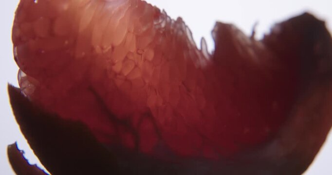 Fresh red grapefruit slice close up. Wet juicy surface background or texture. Slow rotation in changing local light.