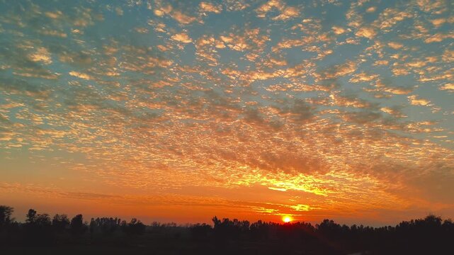 Sunset Sky with Orange Clouds and Tree Silhouettes at Dusk Nature Landscape Background