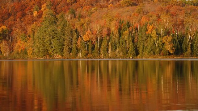 Peaceful sunrise transition over autumn lake with morning mist, cinematic sunlight illuminating vibrant fall forest and hills reflected in still water