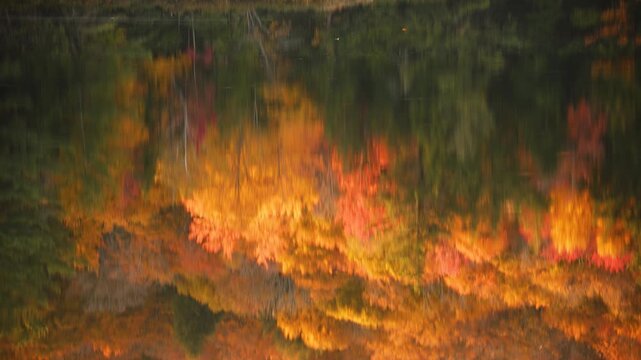 Abstract colorful autumn forest reflection on water surface, vibrant orange and red fall colors mirrored on lake with gentle ripples, artistic nature background