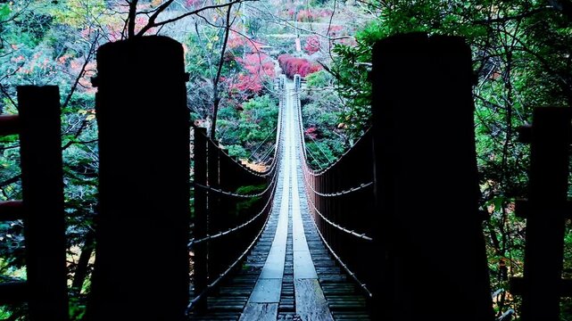 樅木の吊橋(しゃくなげ橋)吊り橋風景
「川辺川の清流を眼下に見下ろし、四季折々の表情を見せる親子橋。あやとりを編むように架けられたその姿は、訪れる人々を幻想的な世界へと誘います。」
熊本県八代市泉町の秘境「五家荘（ごかのしょう）」
樅木（もみぎ）の吊橋
Momigi Suspension Bridge (Shakunage Bridge) - Suspension Bridge Scenery