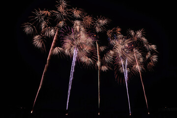 古河花火大会「百花繚乱・田熊火工」