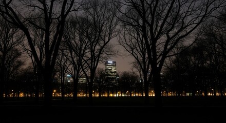 Obraz premium Silhouetted Trees Framing City Lights at Night