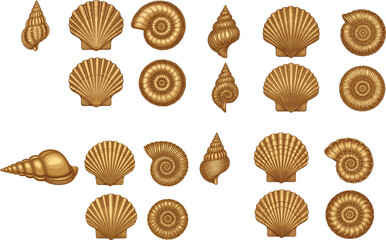 Large set of golden seashell vector illustrations featuring realistic scallops ammonites and spiral snails for marine nature and beach designs © MSTNUR