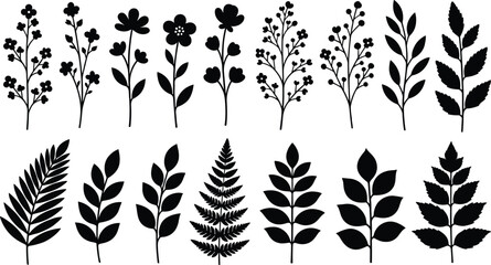 Black silhouette collection of various hand drawn flowers leaves and fern branches isolated on white background for nature spring and floral design projects © MstLata