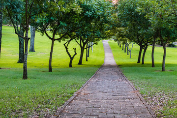 Obraz premium Camden, NSW, Australia – February 16, 2026: historic town street scene with local shops and cafes, small-town architecture and roadside daily life in Camden, New South Wales editorial image