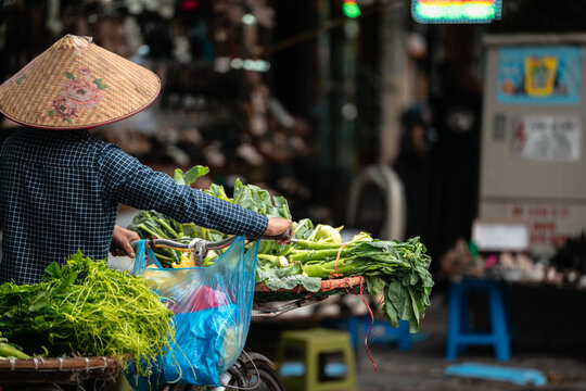 Bicycle Vegetable Vendor Wearing N&oacute;n L&aacute;, Hanoi Vietnam