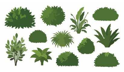 Decorative Greenery Shrubs Vector Set Isolated Garden and Tropical Plants © Md Humaun