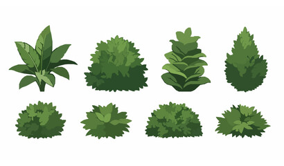 Tropical Garden Shrubs Collection Vector Isolated Greenery Plants Set © Md Humaun