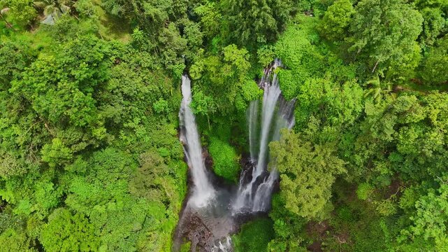 Aerial drone shot flying forward through dense tropical jungle revealing a stunning waterfall in Bali, Indonesia. Lush greenery, mist, and untouched nature. Cinematic 16:9 landscape format perfect for