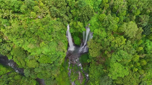 Aerial drone shot flying forward through dense tropical jungle revealing a stunning waterfall in Bali, Indonesia. Lush greenery, mist, and untouched nature. Cinematic 16:9 landscape format perfect for