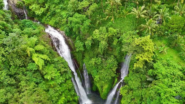 Aerial drone shot flying forward through dense tropical jungle revealing a stunning waterfall in Bali, Indonesia. Lush greenery, mist, and untouched nature. Cinematic 16:9 landscape format perfect for